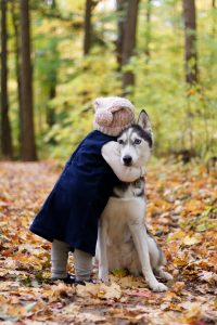 Husky et enfants